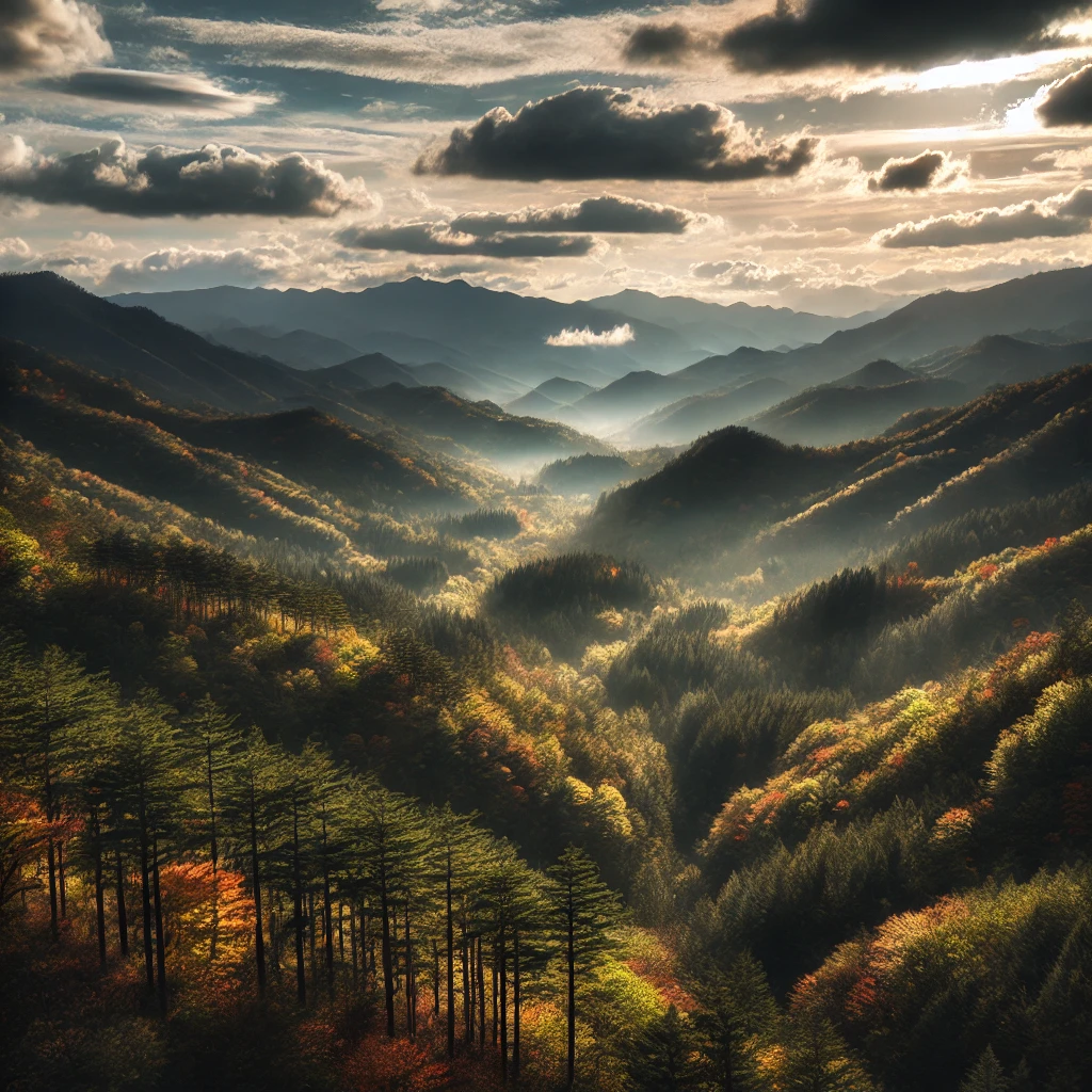 상속받은 임야의 아름다움을 보여주는 강원도의 숲 지역