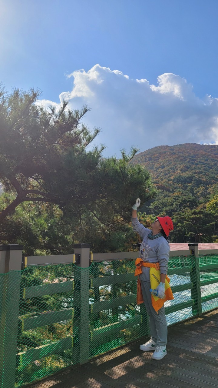 봉수산 자연 휴양림