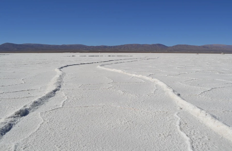 함초소금 효능 및 효과 부작용들.