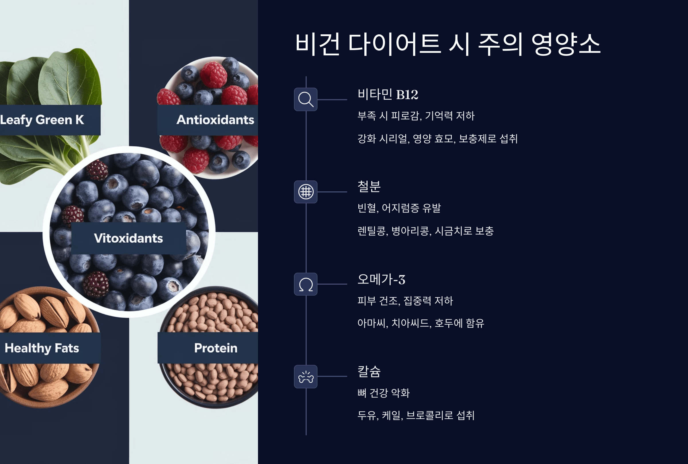 채식 다이어트 시 주의 영양소