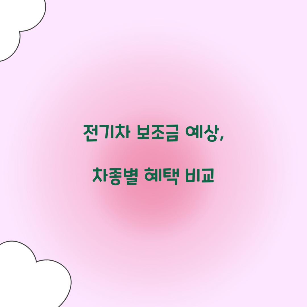 전기차 보조금 예상