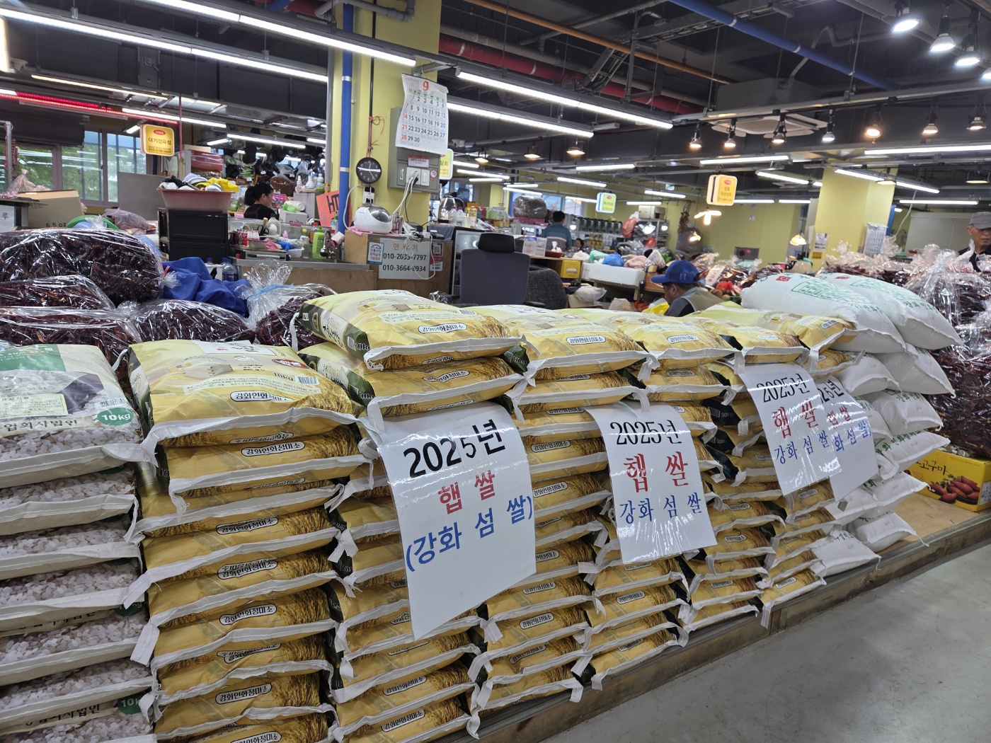 강화도 1박2일 효도여행