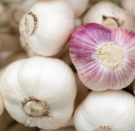 감기에 좋은 음식