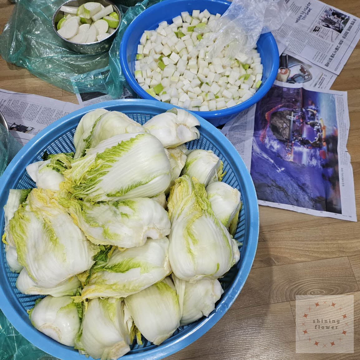 김장준비-절임배추-깍두기-다발무