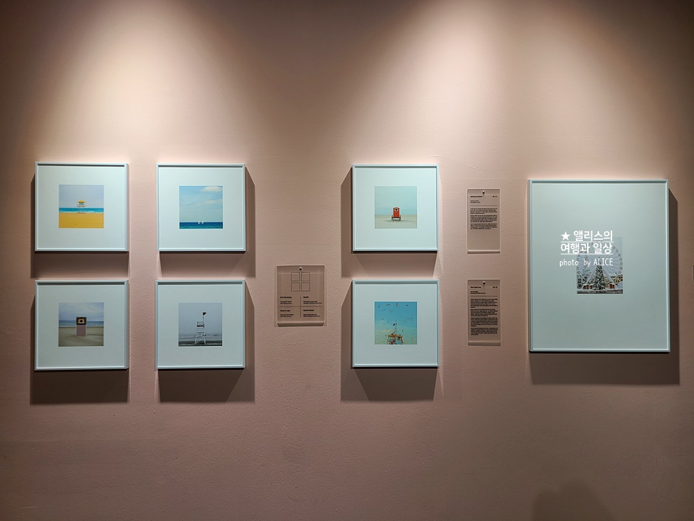 우연히 웨스 앤더슨 전시 추천, 그라운드 시소 성수