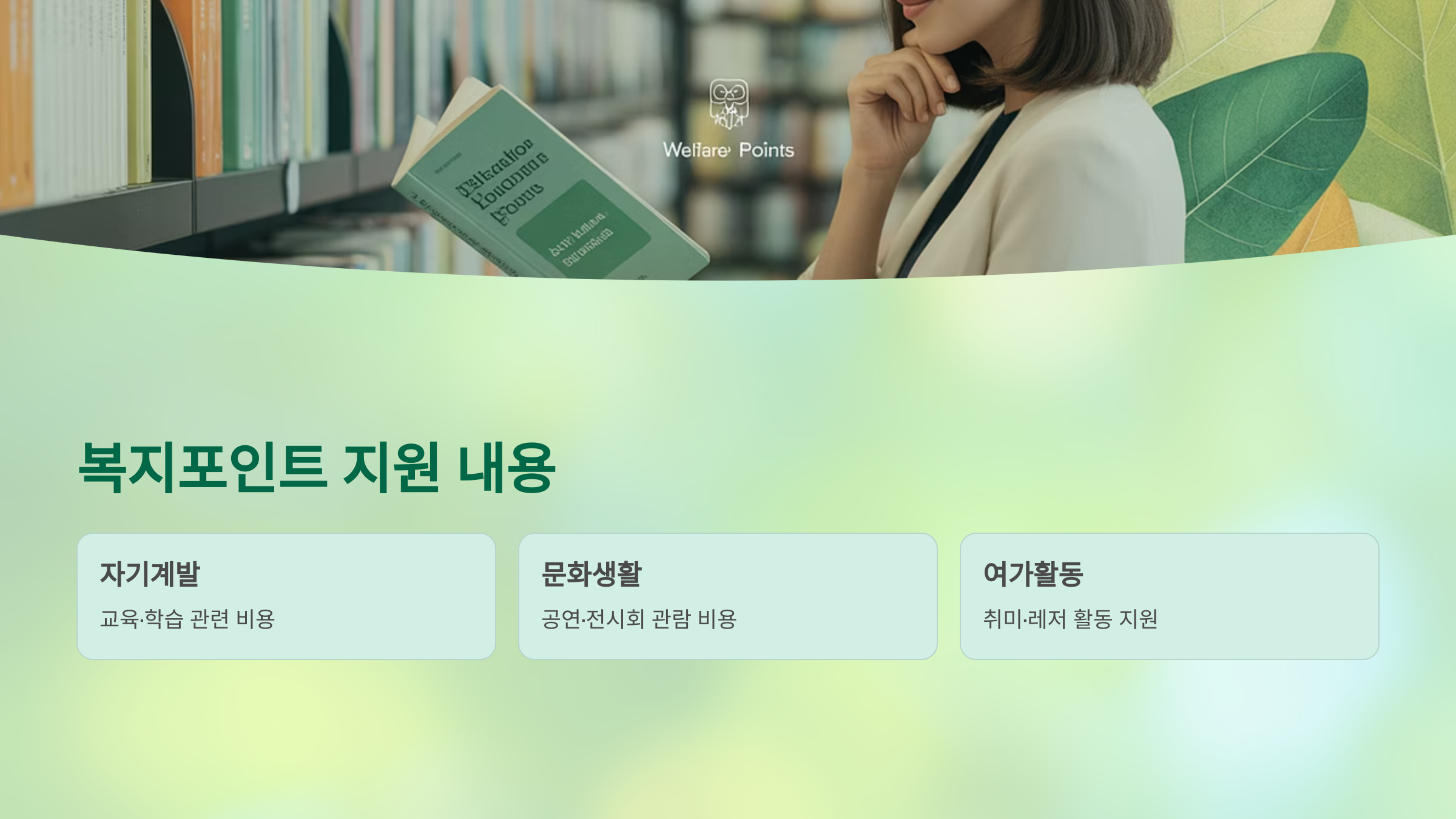 복지포인트 지원 내용