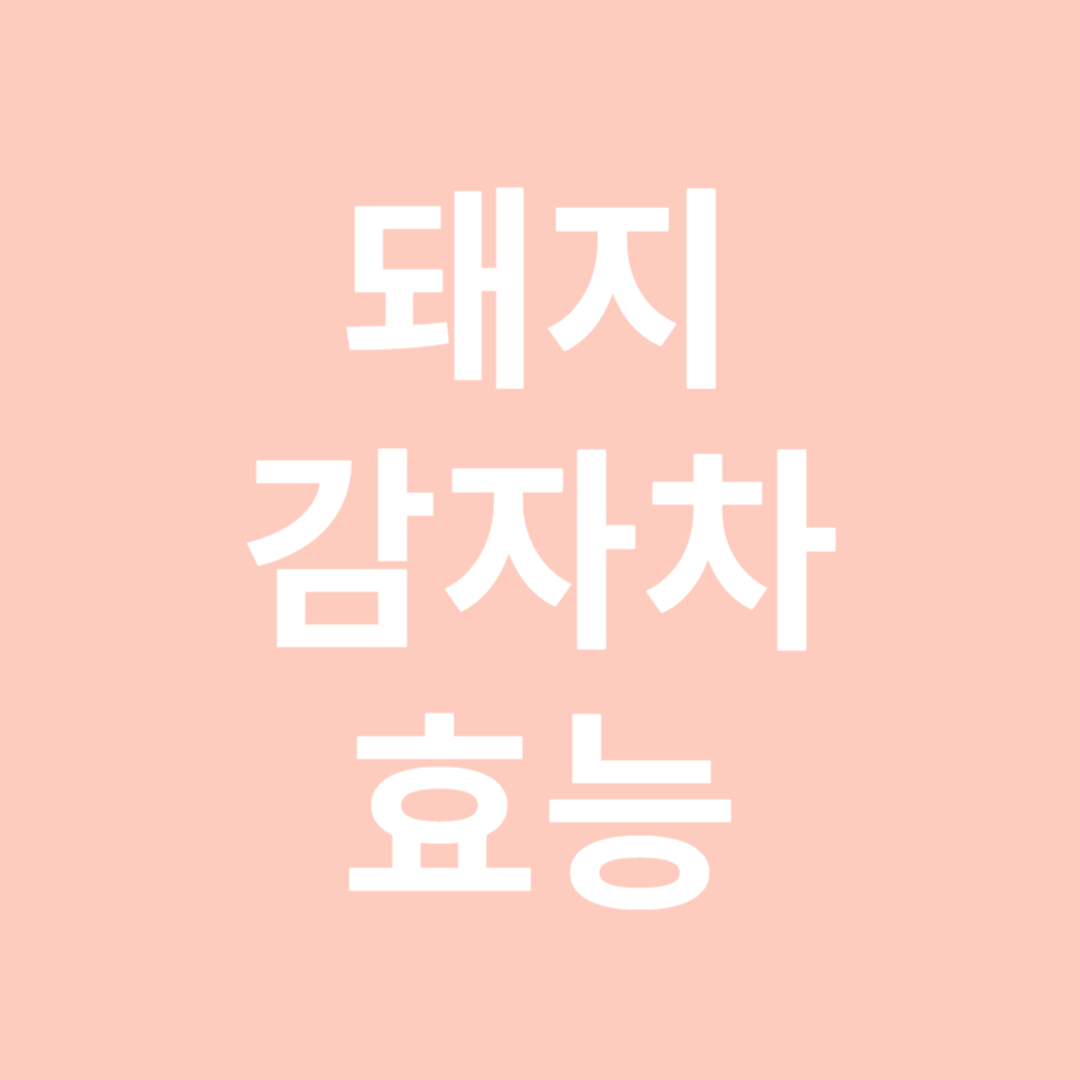 돼지감자차 효능