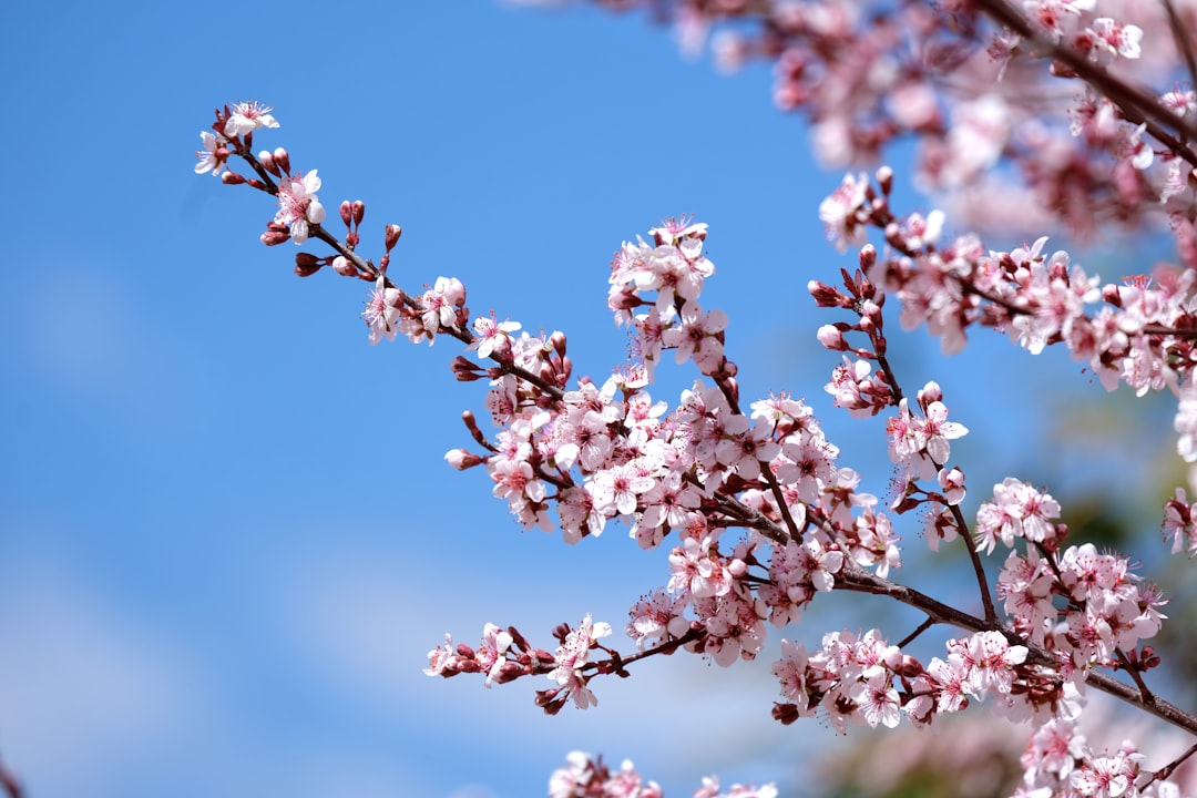 I recommend the noun hot spring.