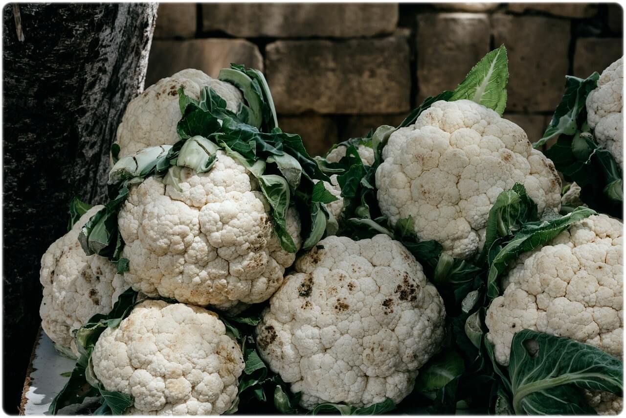 살 안찌는 음식