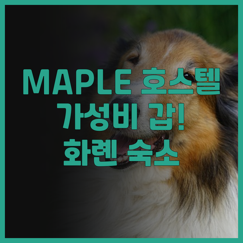 MAPLE Hostel.. 깔끔하고 ..