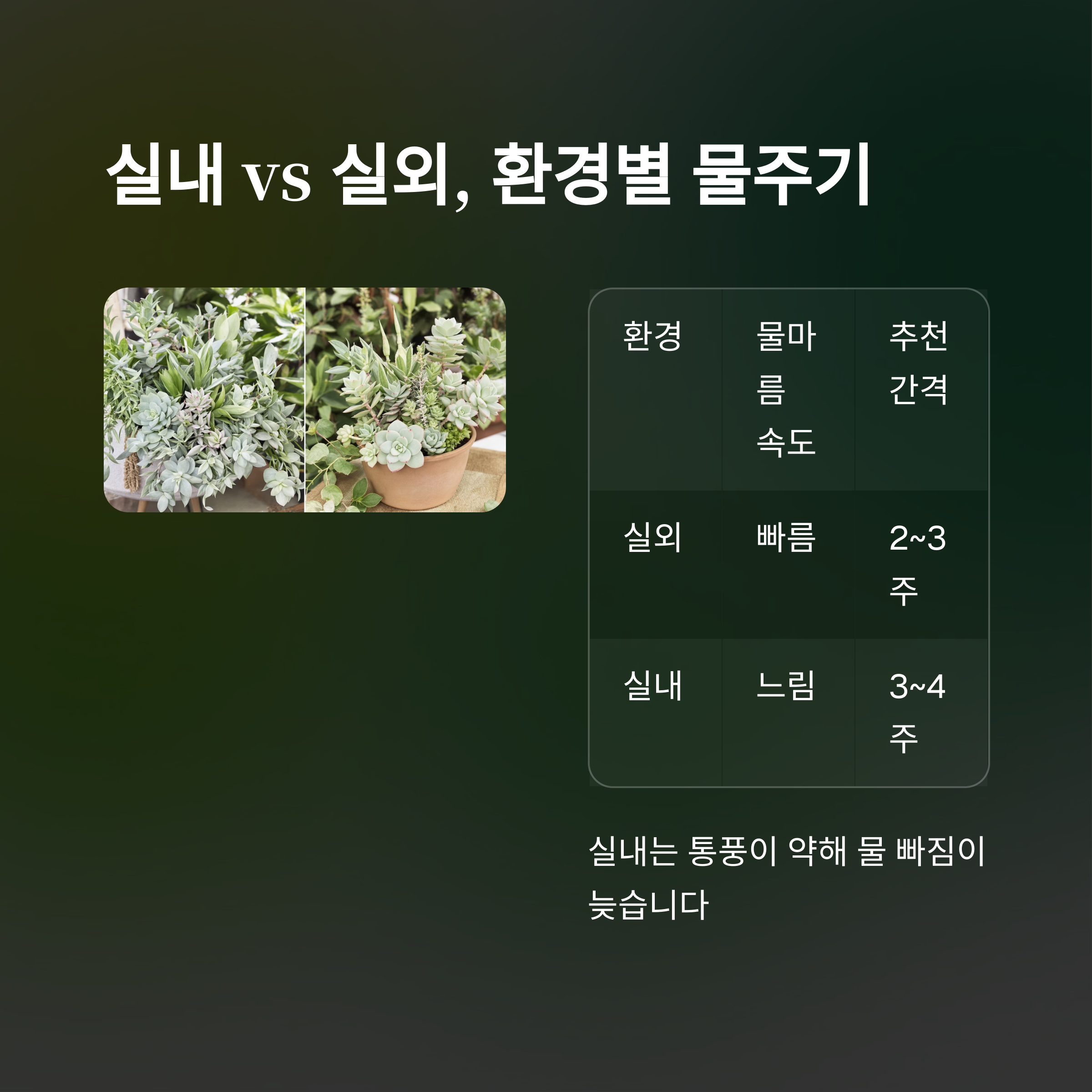 실내 실외, 환경별 물주기