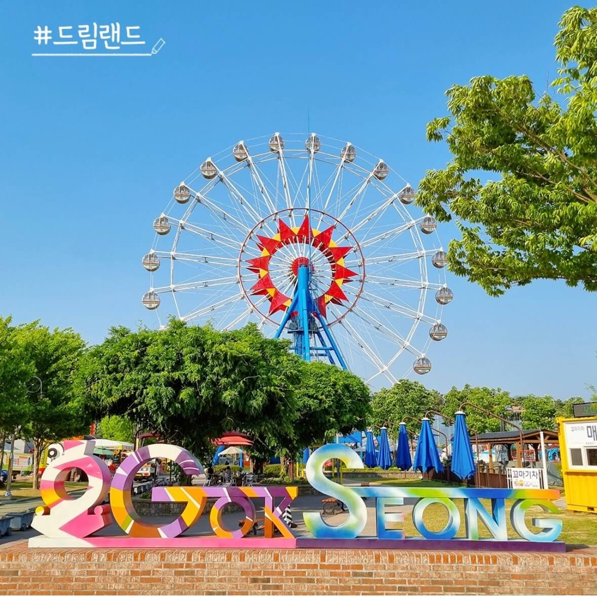 곡성 장미축제