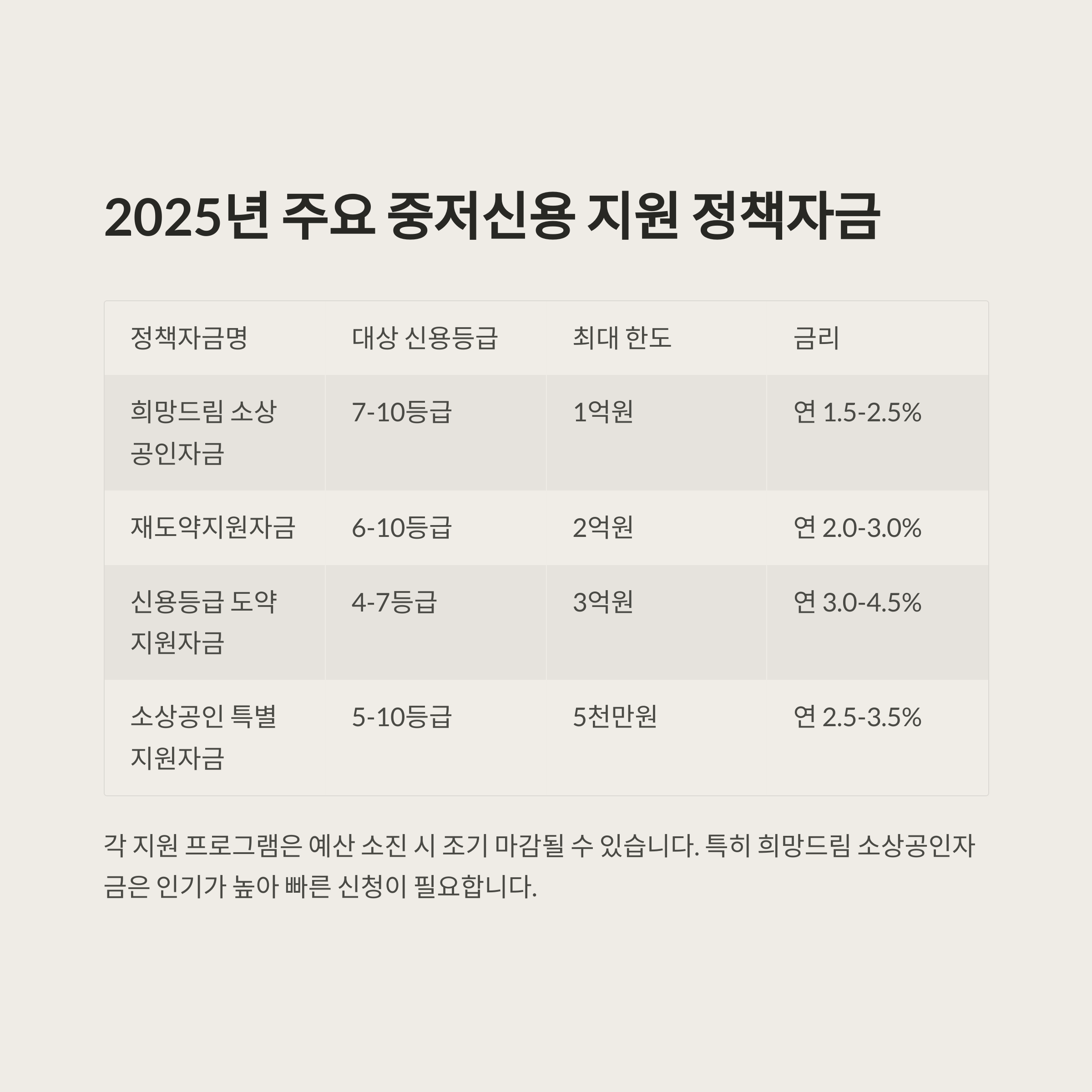 2025년 주요 중저신용 지원 정책자금