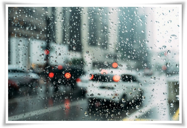 웰빙 &quot;2025년 장마&quot; 폭염과 폭우? 기상청 전망부터 대비까지 총 정리!