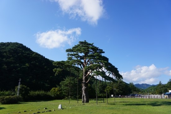 보은 가구 형태별 월 예산표 &mdash; 실제 생활 기준으로 보는 현실적인 생활비 구조