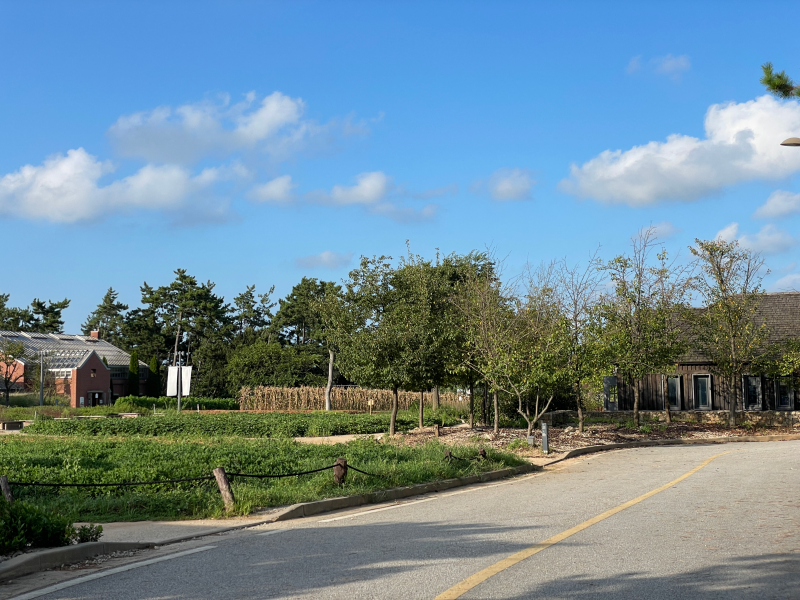 전북 고창 호텔 상하농장 파머스 빌리지 온돌방 조식