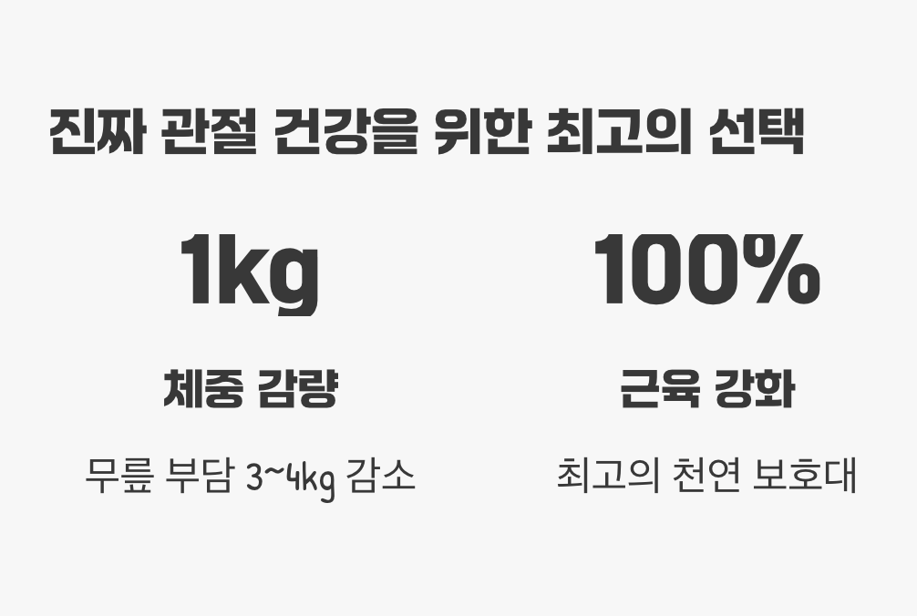 진짜 관절 건강을 위한 최고의 선택