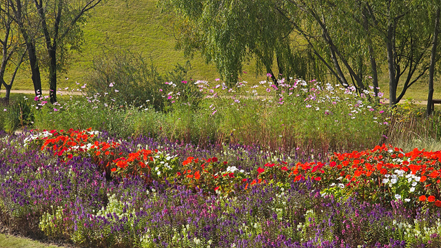 2025 순천만 국가정원 순천여행 맛집 현지인 추천 맛집 순천만 숙박