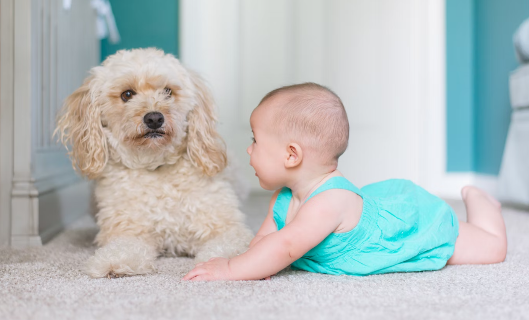 신생아 목 가누는 시기
