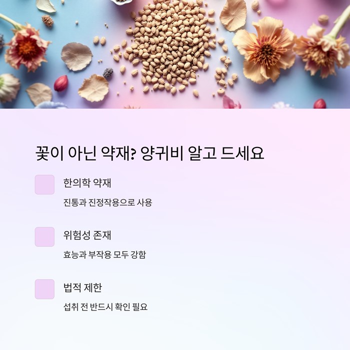 양귀비 효능과 부작용&amp;#44; 섭취 전 꼭 알아야 할 5가지 요약 이미지