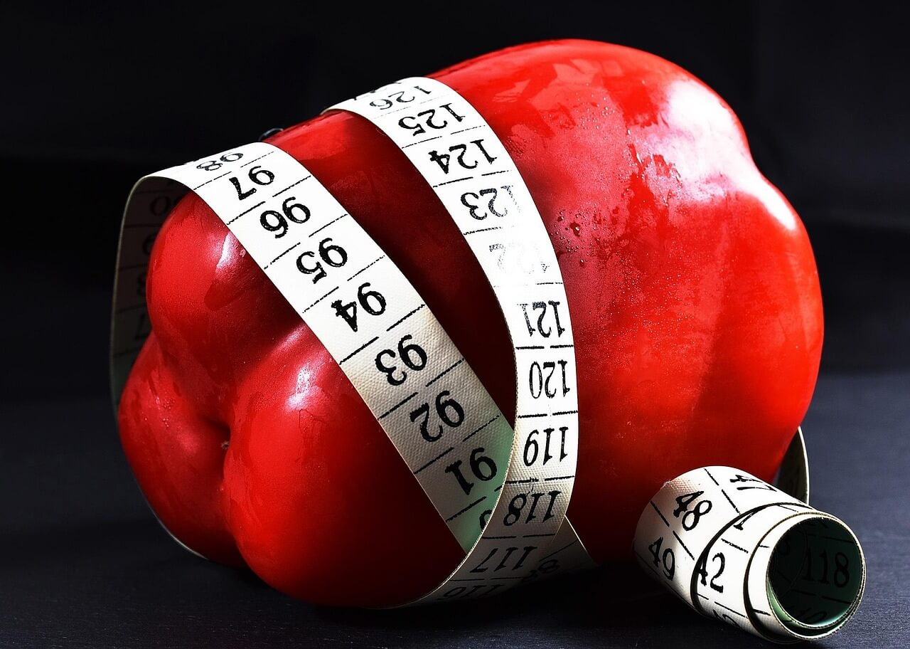 가장 효과좋은 유산균 비교