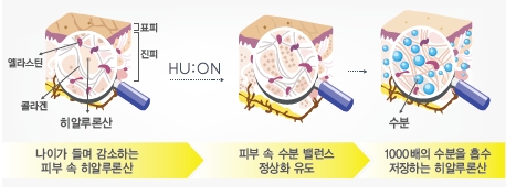 히알루론산 피부 효과 총정리