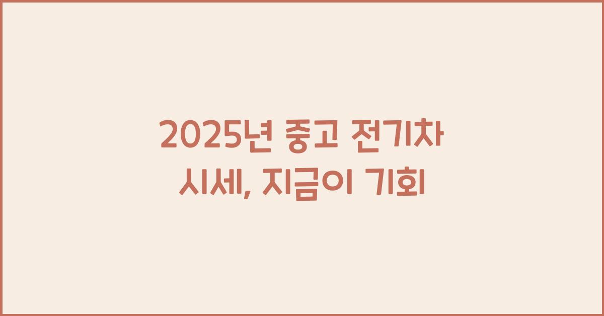 2025년 중고 전기차 시세