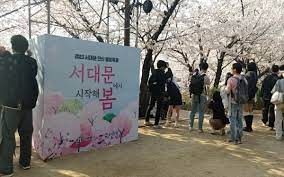 2024 서대문 봄빛 축제 봄빛 콘서트 벚꽃라이브 함신익과 심포니송 기본일정과 프로그램 소개 홍지윤 박현빈 일소로몬 티엘 세자전거 어소티드 턴어라운드 오적목소리 라클라쎄 출연