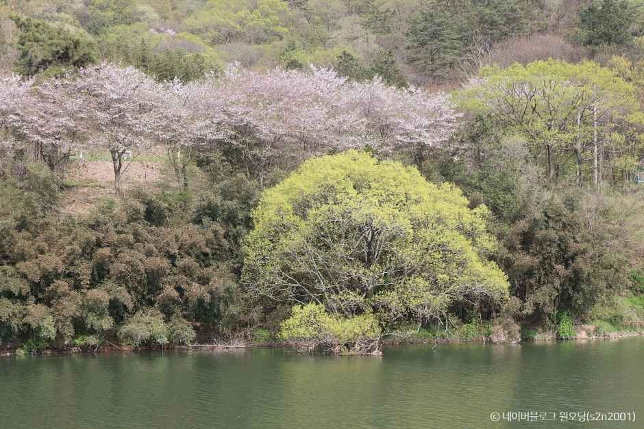 화순 가볼만한곳 베스트10