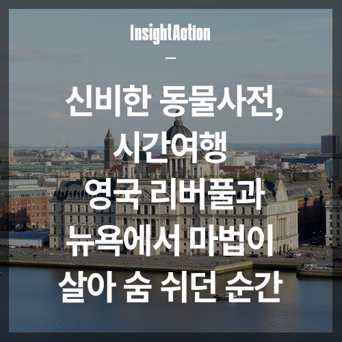 신비한 동물사전 썸네일