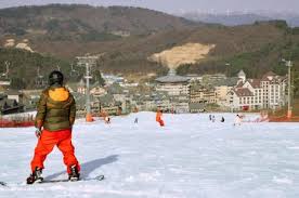 2025 스키장 개장일 완벽 총정리 - 용평부터 지산까지