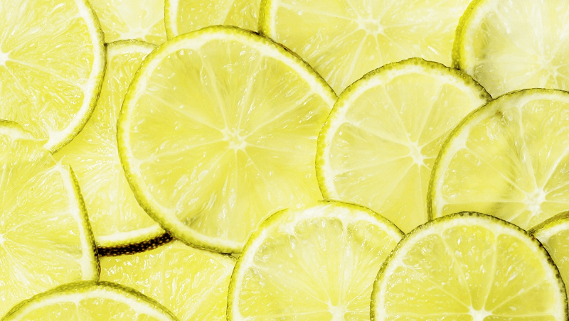 초파리 없애는 방법