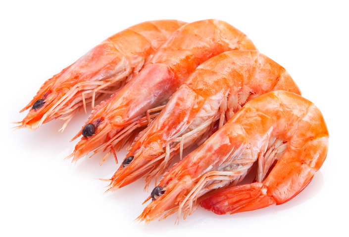 제철 대하 맛있는 시기, 대하 고르는 꿀팁 알아보기