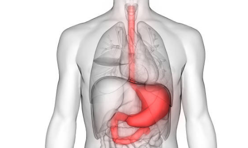 위암 초기증상, 수술비용, 수술후 회복기간 총정리 (2024ver)