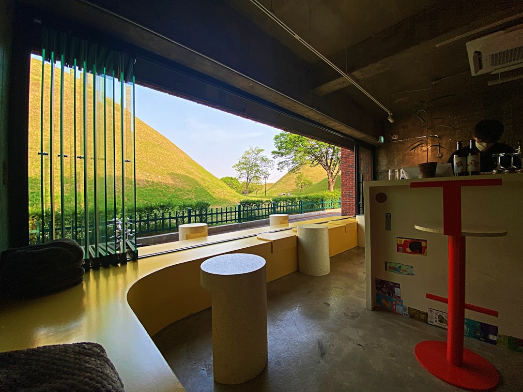 2025 경주벚꽃 만개 시기: 놓치지 말아야 할 봄꽃 명소와 축제 안내 관련 이미지 2