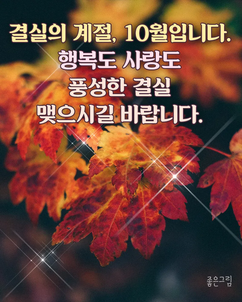 10월 인사말 예시 모음 영어_5