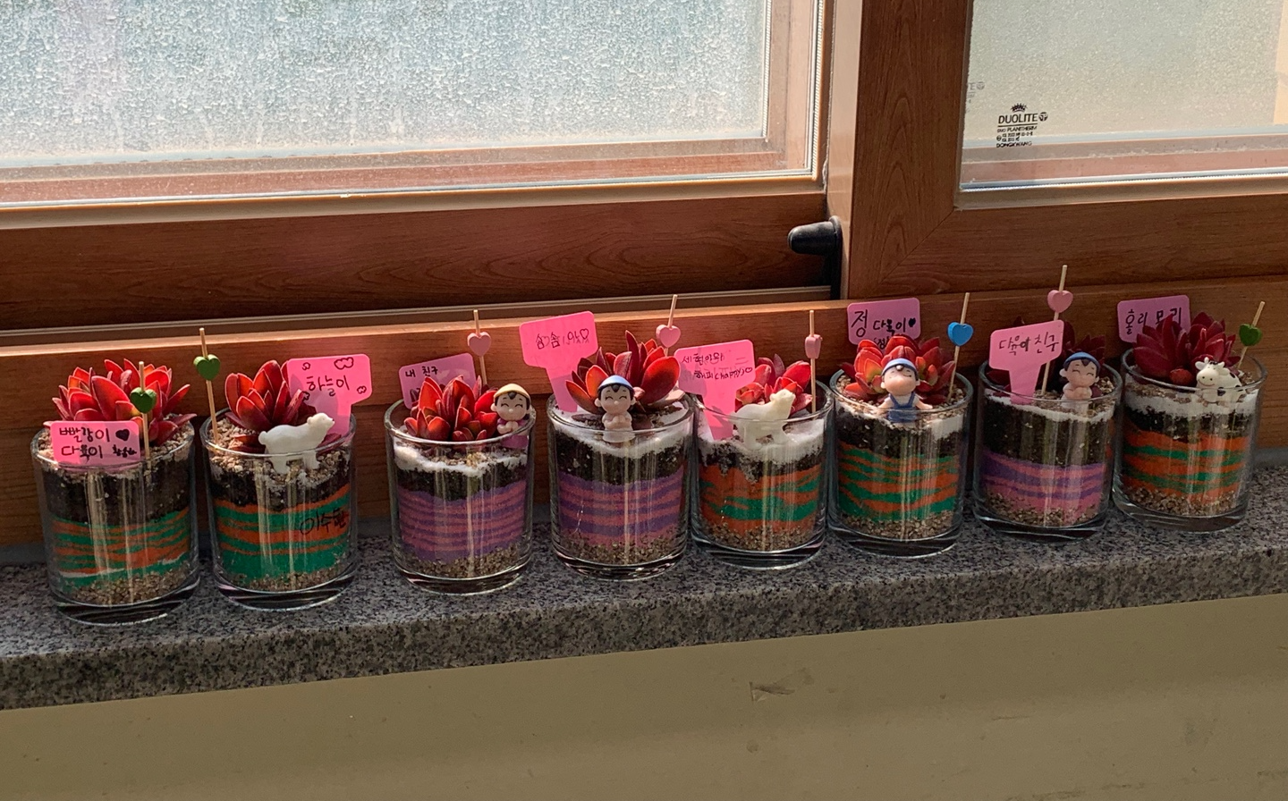 색모래 다육이 테라리움
경기 안양 동안구