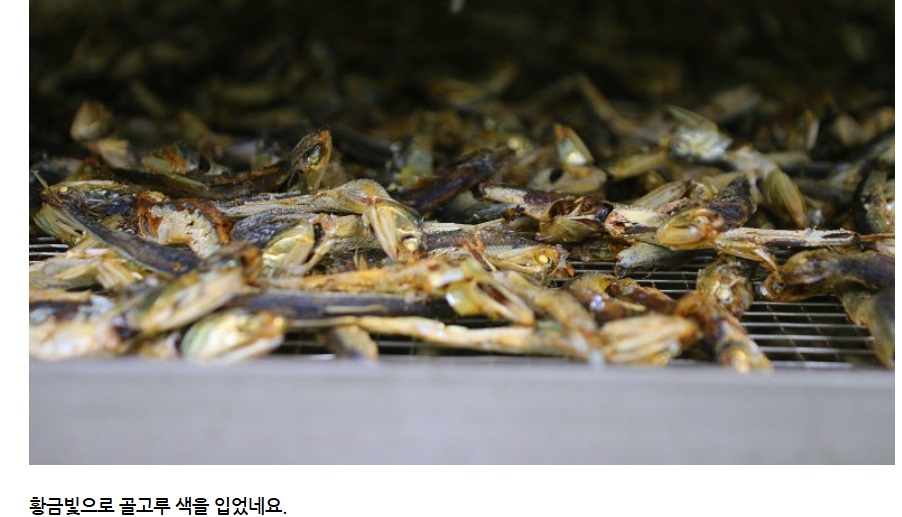 통영-훈연멸치-해성씨푸드