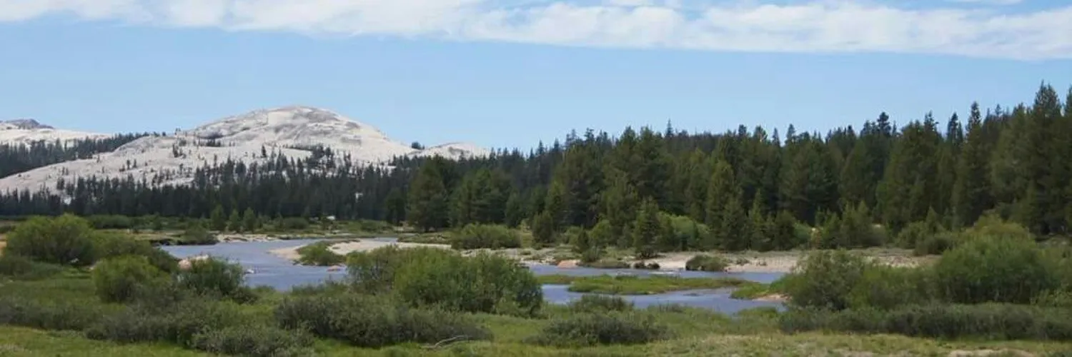악보 표기법의 진화 – 고대 성가부터 현대 그래픽 악보까지로 여정 음악사 역사 정리_3