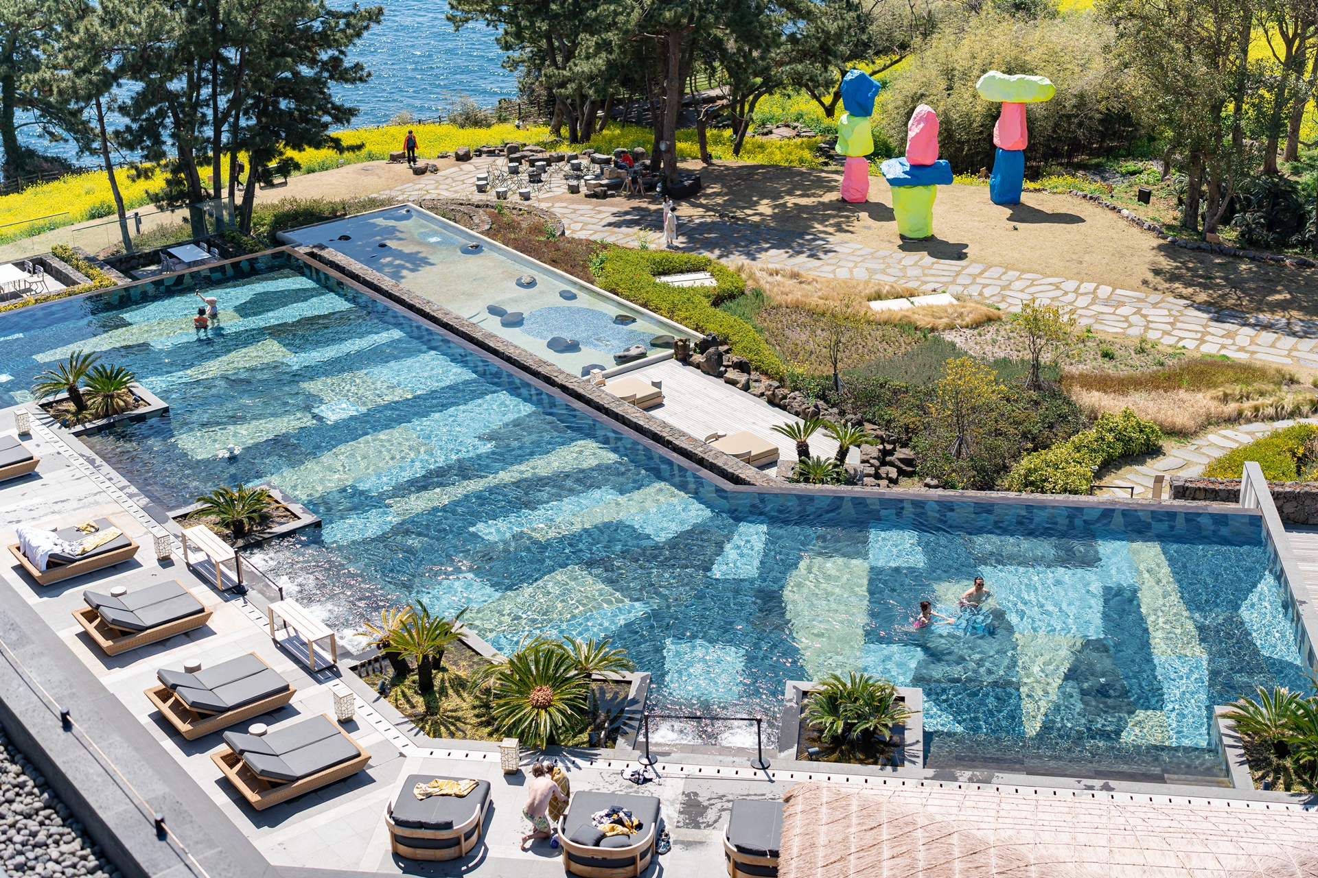 #JW가든 #JW메리어트제주 #댄싱두루미 #더플라잉호그 #아일랜드키친 #유채꽃 #제주사진 #제주여행 #제주유채꽃 #제주호텔