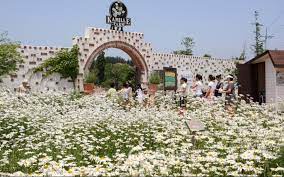 안면도 가볼 만한 곳 BEST 10