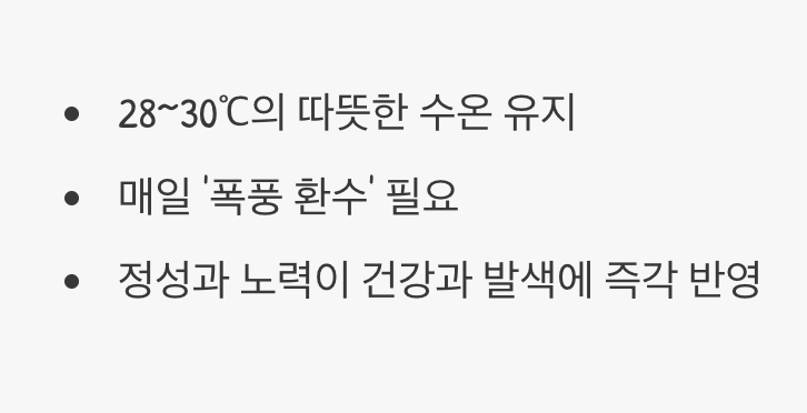 '정성'을 먹고 자라는 보석