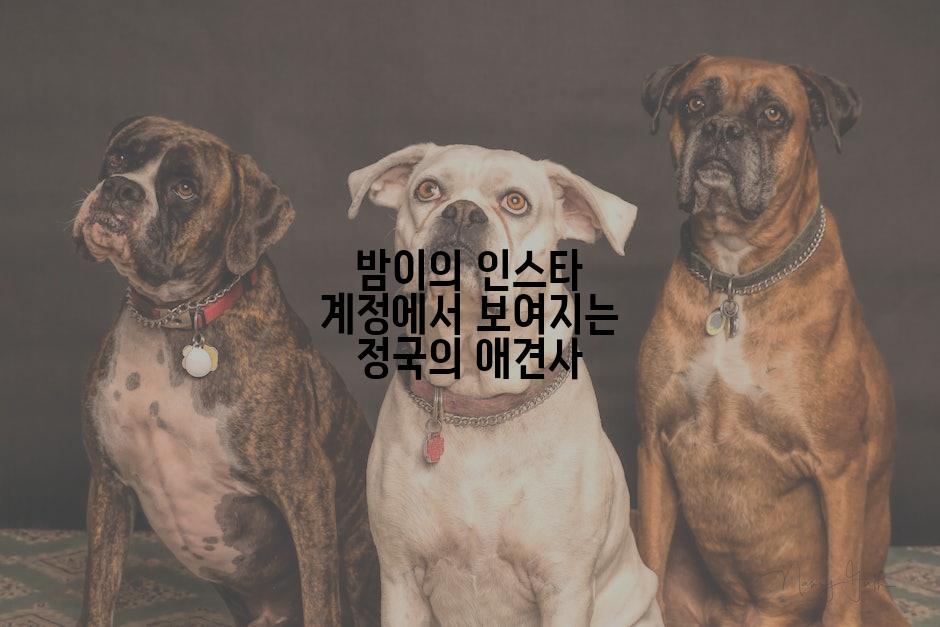 밤이의 인스타 계정에서 보여지는 정국의 애견사