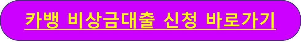 카뱅 비상금대출 내용 신청