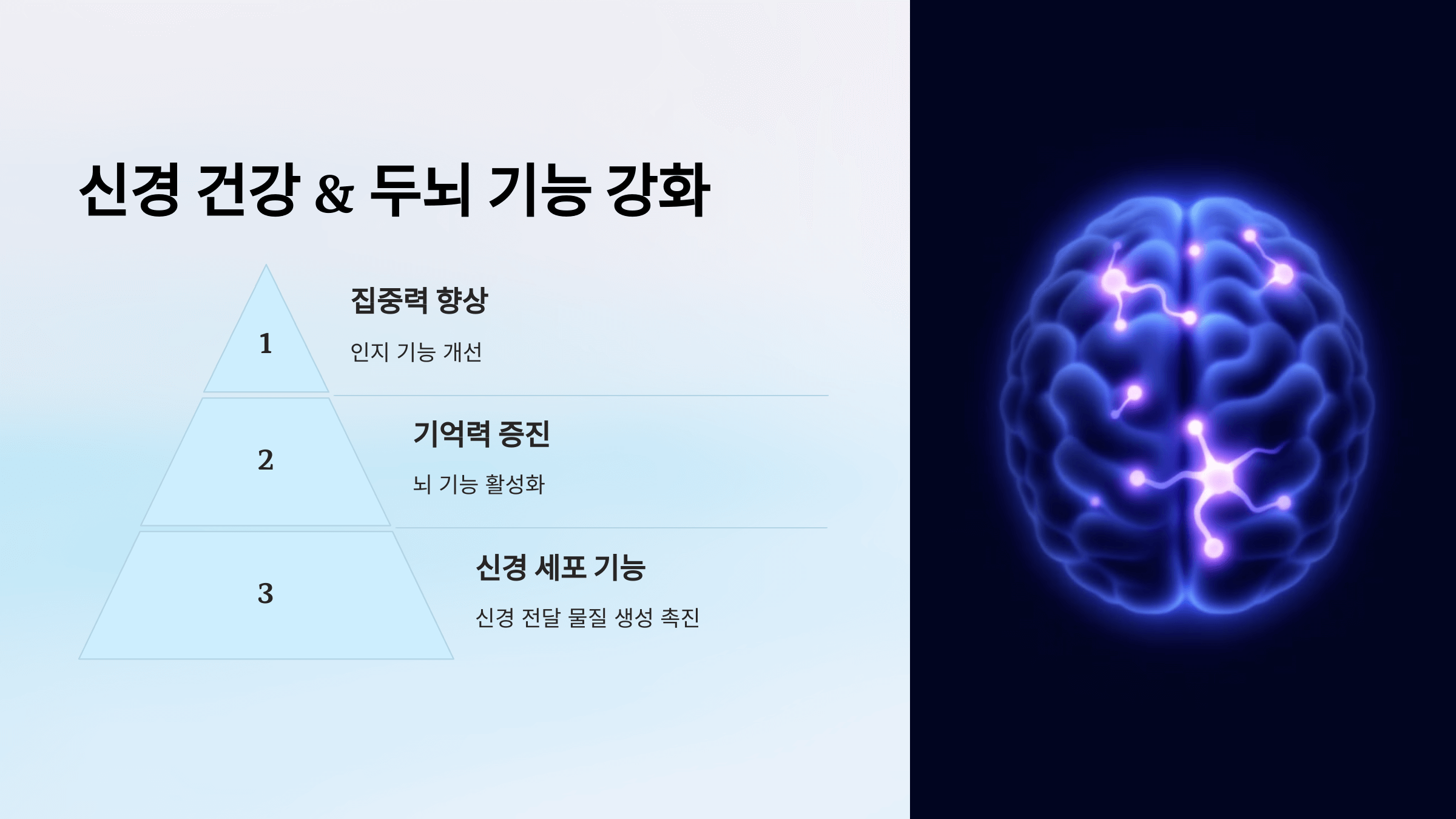 비오틴과 관련된 사진입니다.