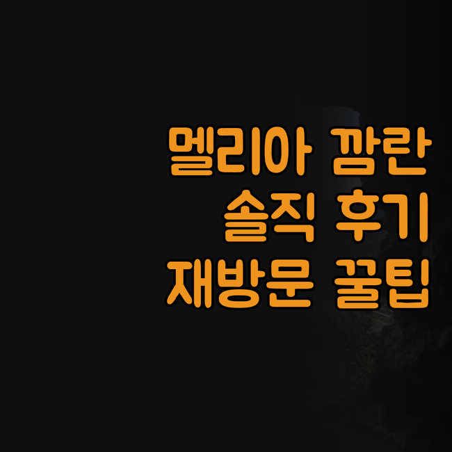 멜리아 빈펄 깜란 가족여행 솔직 후기..