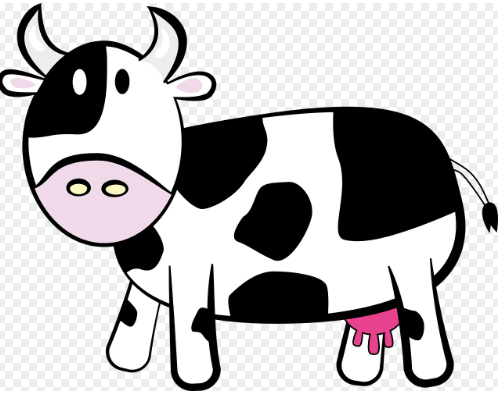 2025년 띠별 운세 총정리