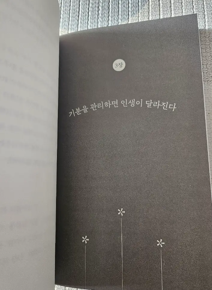사진6