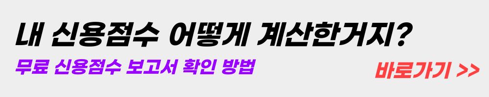 신용점수-보고서