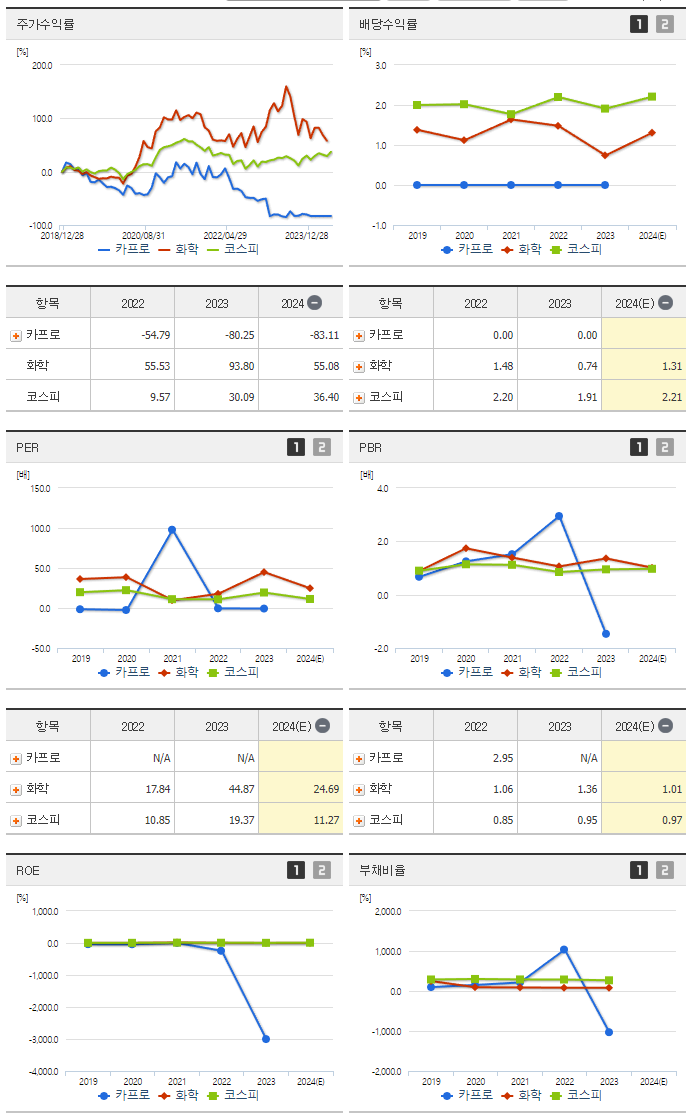 카프로_섹터분석